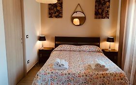 B&B Libellula